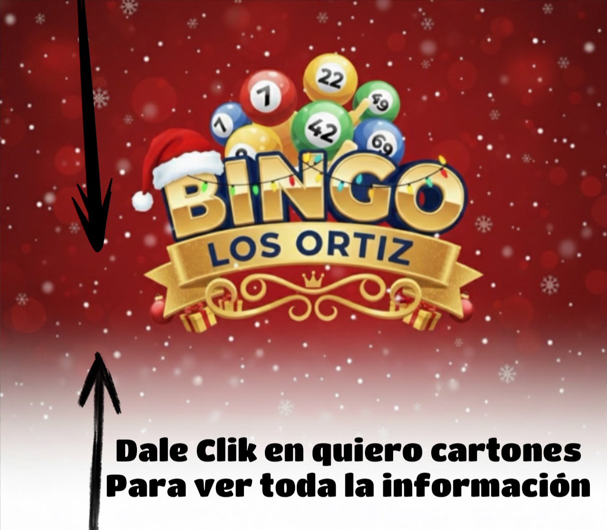  Bingo Ortiz  10/12/2025